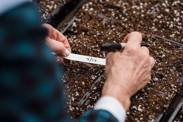 A soil expert checking nitrogen content in mushroom composted soil.