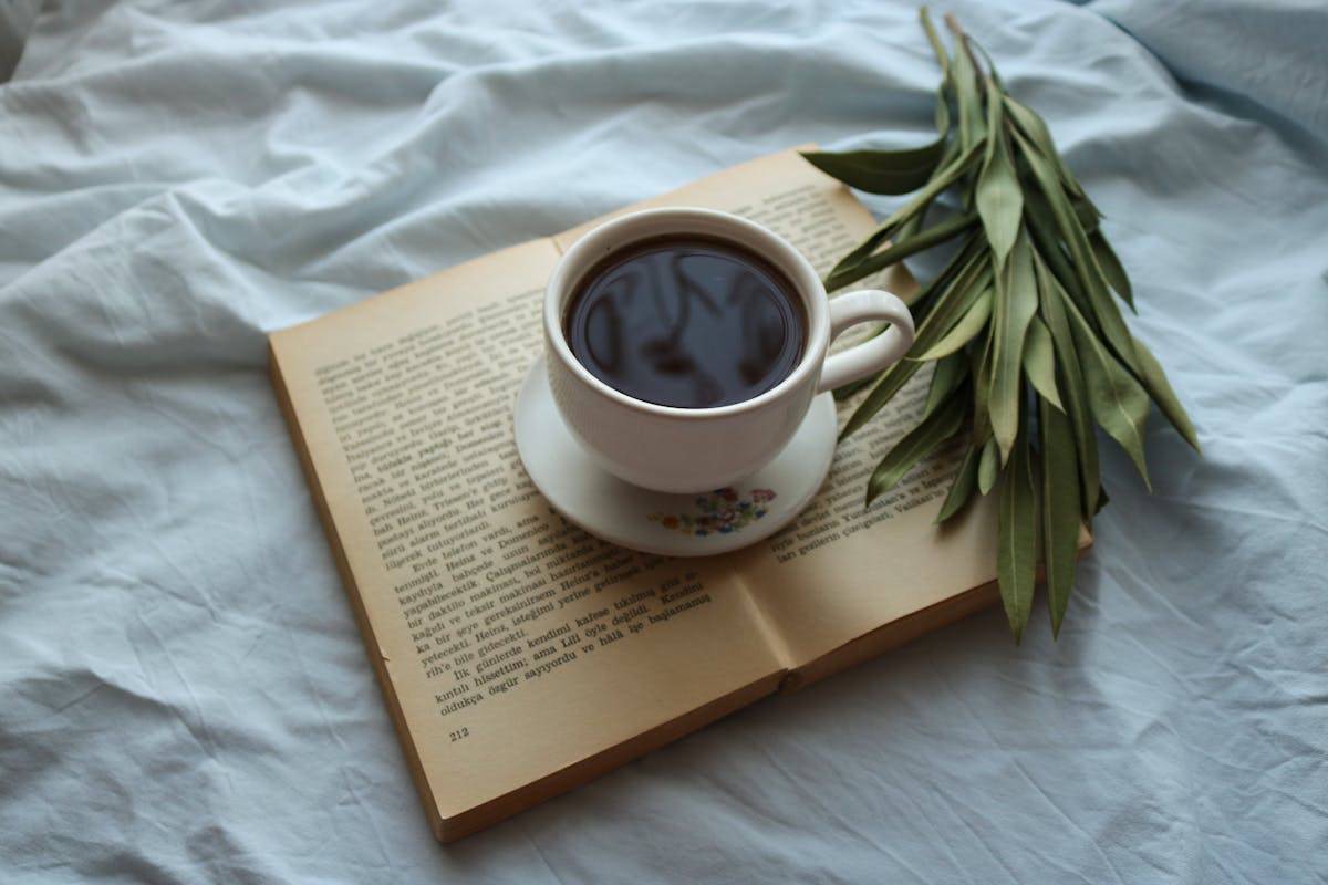 A cup of mushroom coffee and leaves upon a book referring its calm and less acidic aftereffects.