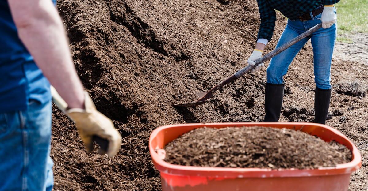 Mushroom Compost vs. Regular Compost