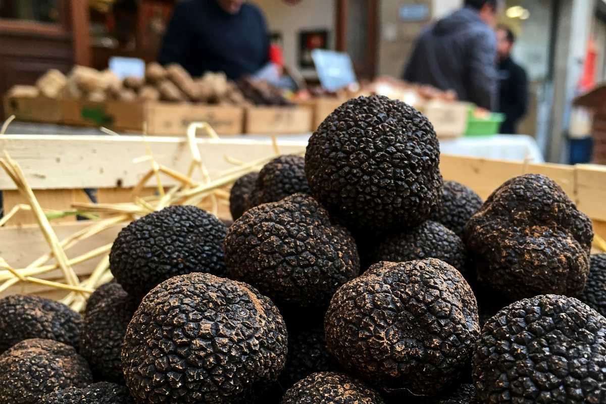 Fresh truffles in a local market.