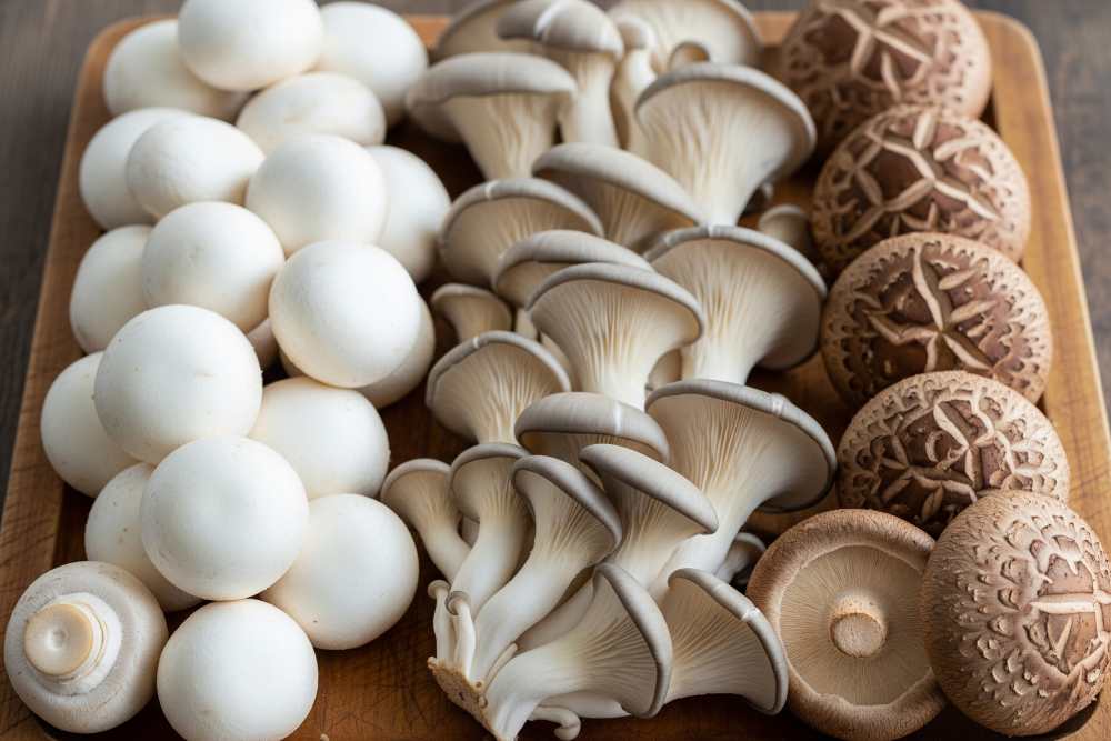 Button, oyster and shiitake mushrooms placed upon a wooden.