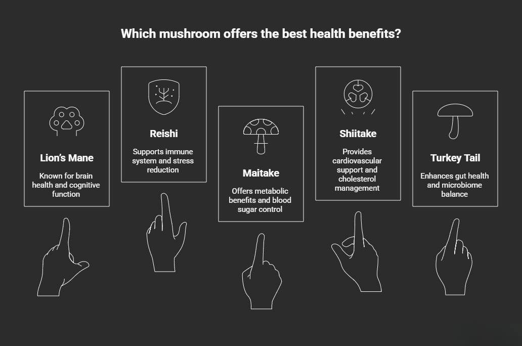 Top mushrooms and their benefits.
